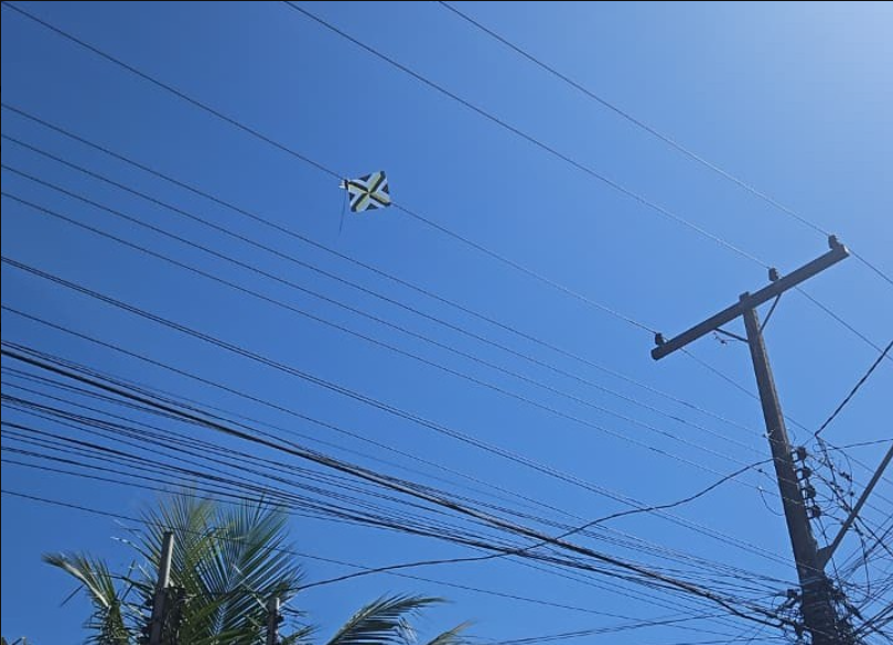 Pipas causam mil ocorrências na rede elétrica em Goiás no intervalo de um ano