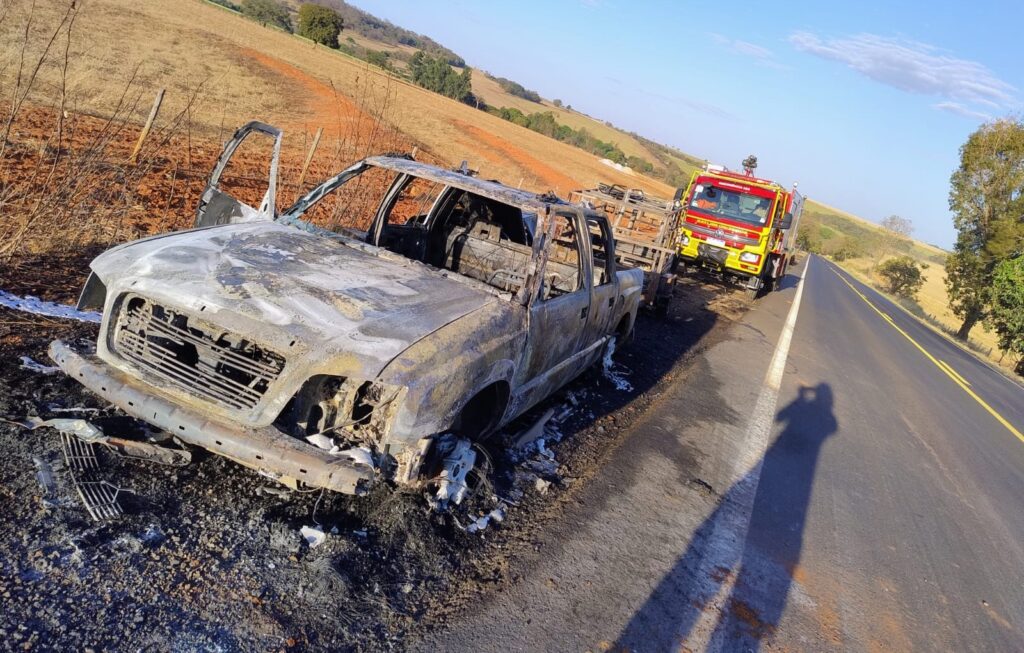 Bombeiros combatem incêndio em veículo e apagam fogo em vegetação na GO-215