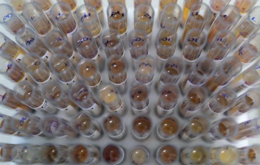 Uso de medicamento oferecido no SUS reduz casos de malária no Brasil