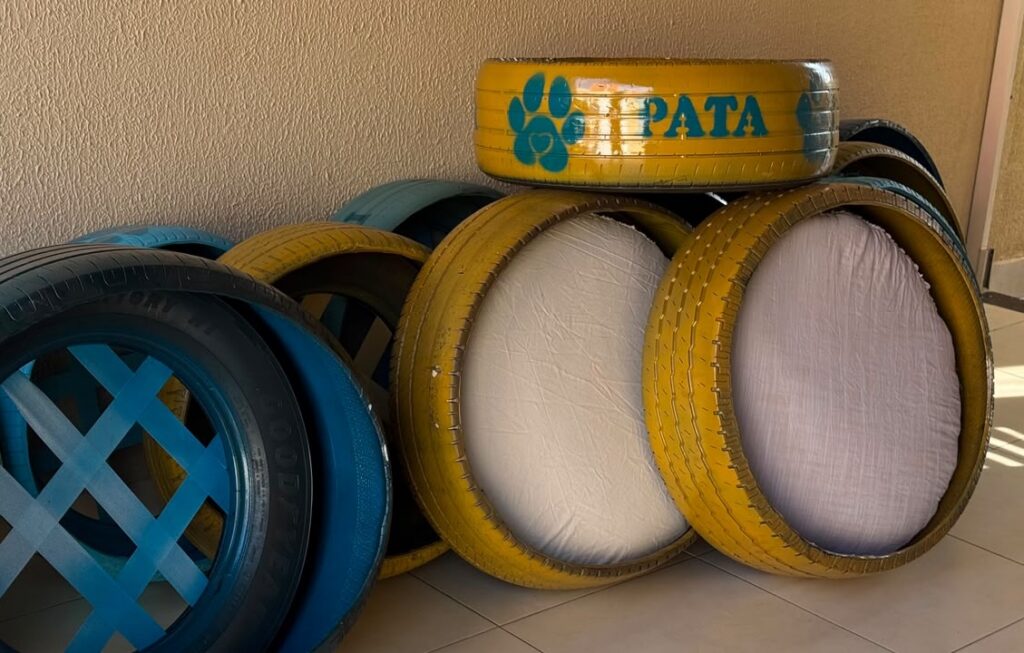 Programa de Atenção e Proteção aos Animais entrega camas sustentáveis para cães adotados em Aparecida