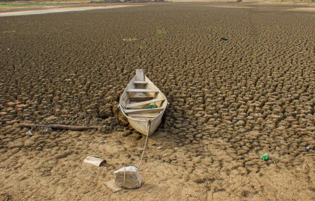 Brasil promete restaurar 163 mil km² de terras degradadas até 2030