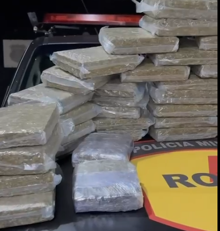 Três são presos com 50 quilos de skunk em condomínio de luxo em Goiânia