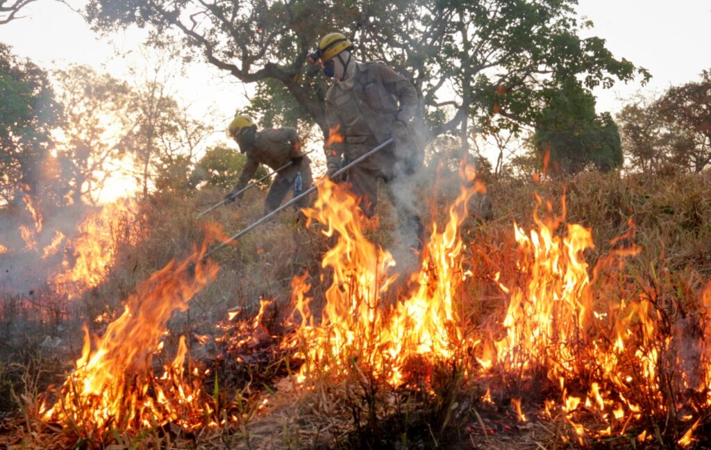 Decreto suspende uso do fogo em vegetação no território goiano até 31 de outubro