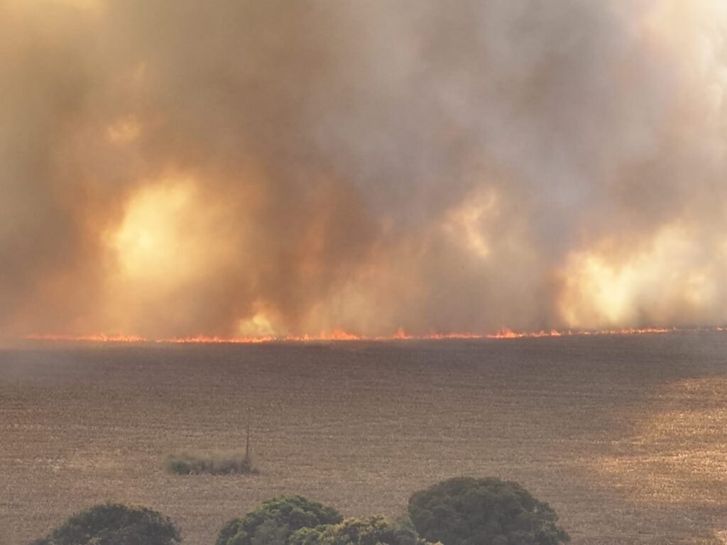 Calor extremo, tempo seco e ventos fortes aumentam risco de queimadas em Goiás