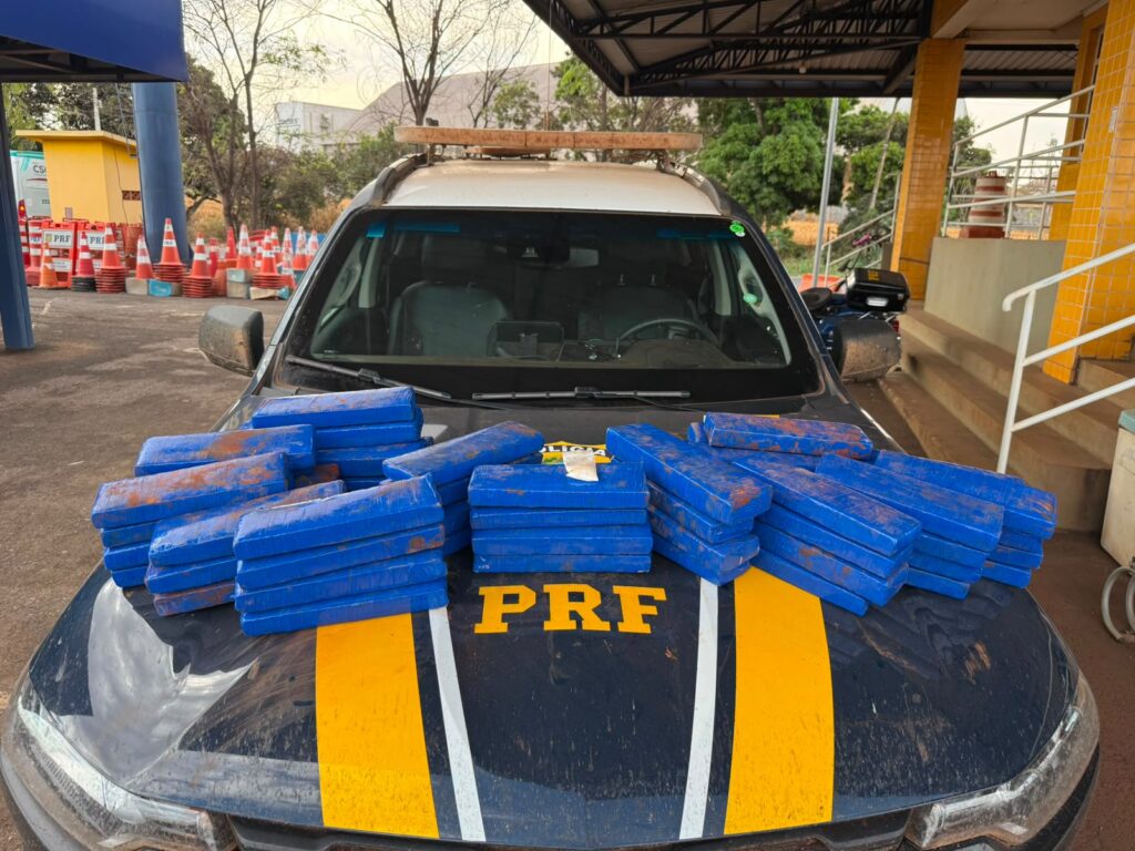 PRF apreende carga com maconha, haxixe e cocaína na BR-060 em Rio Verde