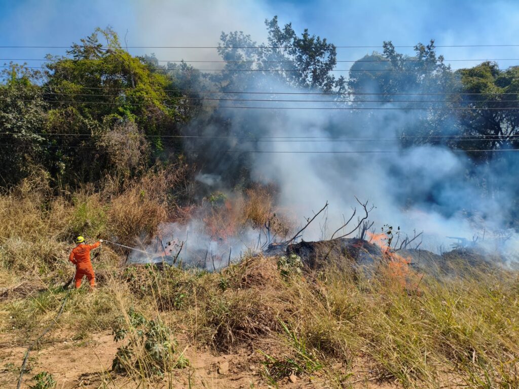 Bombeiros combatem incêndio às margens da GO-139, em Caldas Novas