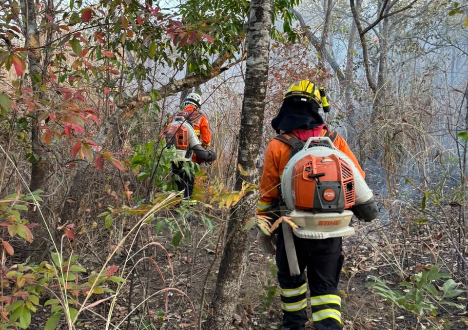 Novo foco de incêndio atinge 600 hectares no Parque Estadual da Serra Dourada