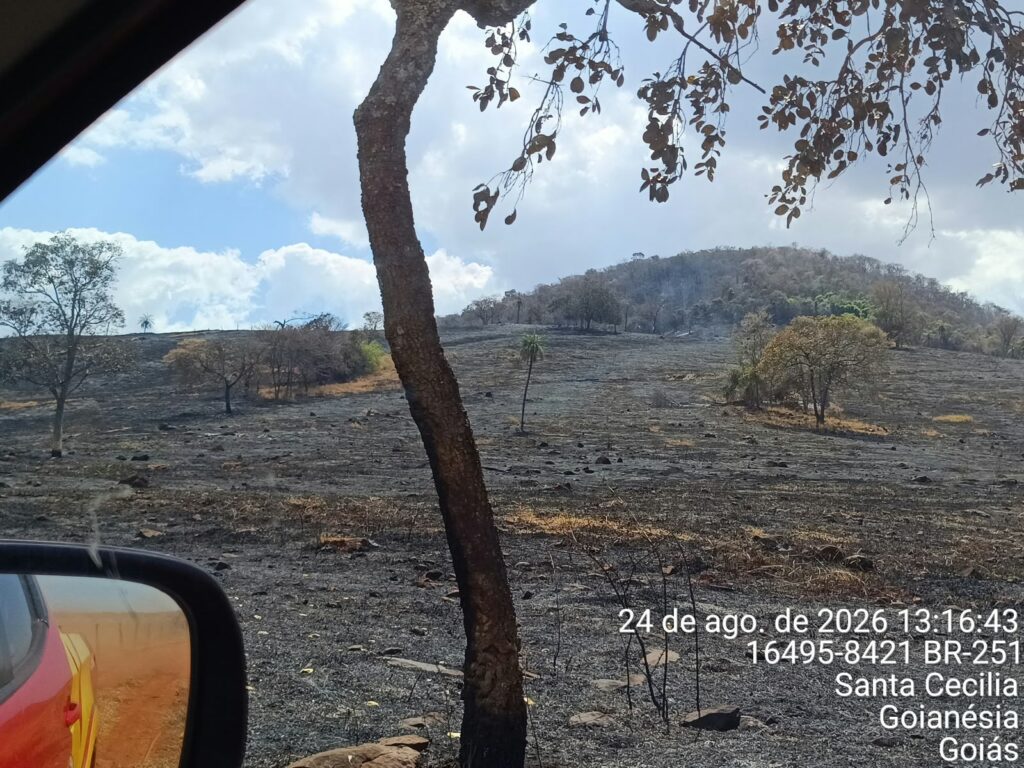 Incêndio florestal avança às margens da GO-230 em Goianésia