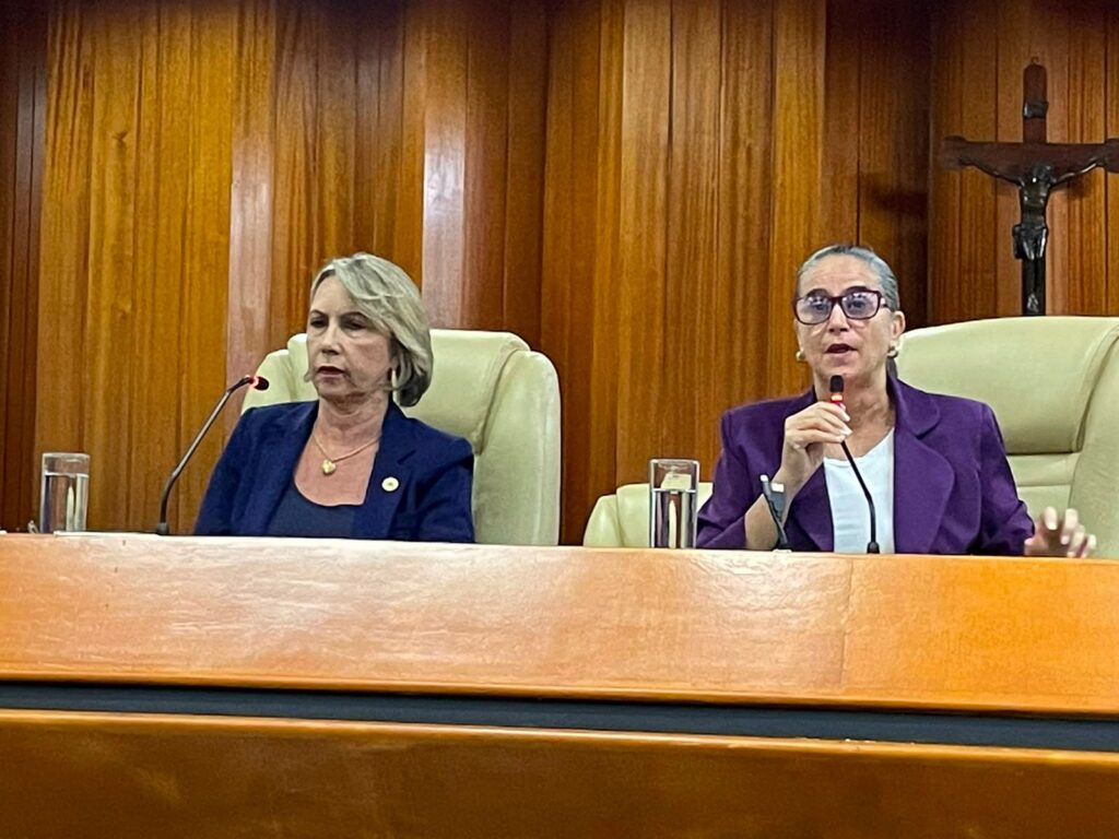 Vereadora Kátia recorre ao MP-GO para impedir corte de gameleiras na Praça da Cirrose