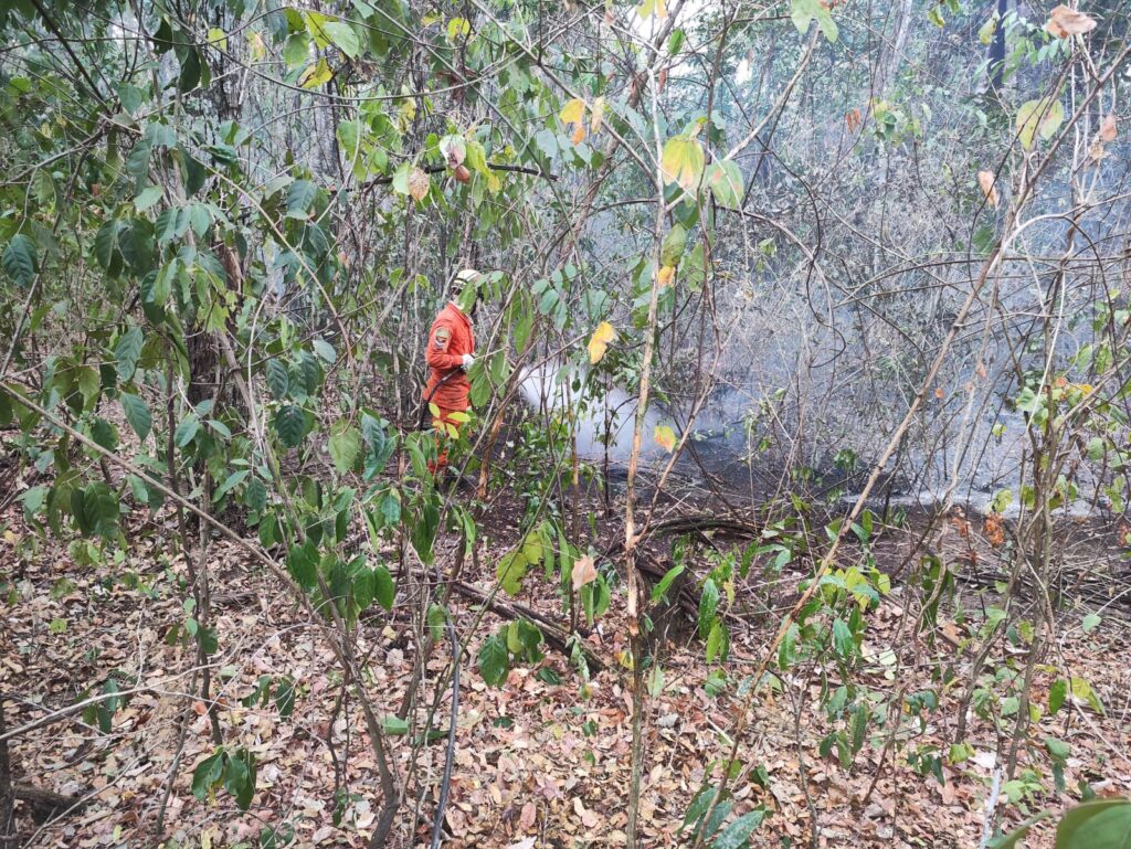 Bombeiros combatem incêndio florestal em área rural de Caldas Novas