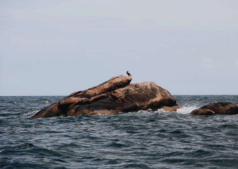 Dia mais quente da história dos oceanos é registrado devido ao El Niño