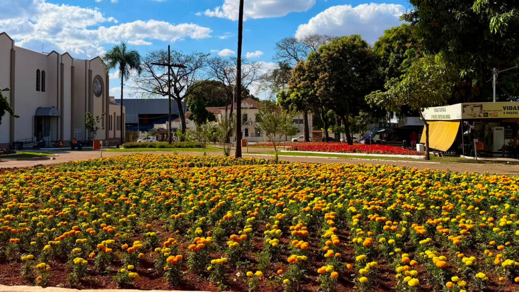 Comurg mapeia Goiânia para Projeto Florescer; veja quais pontos podem receber canteiros de flores