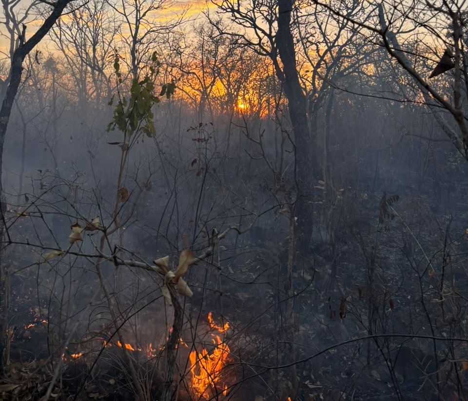Novo incêndio mobiliza equipes e ameaça áreas próximas ao Parque da Serra Dourada