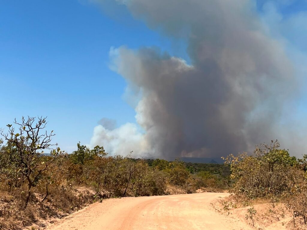 Incêndio florestal na região Nordeste de Goiás já atingiu 10,4 mil hectares, diz Semad