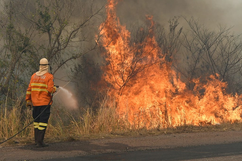 Gabinete de ações integradas promete fortalecer resposta à estiagem e aos incêndios florestais em Goiás 