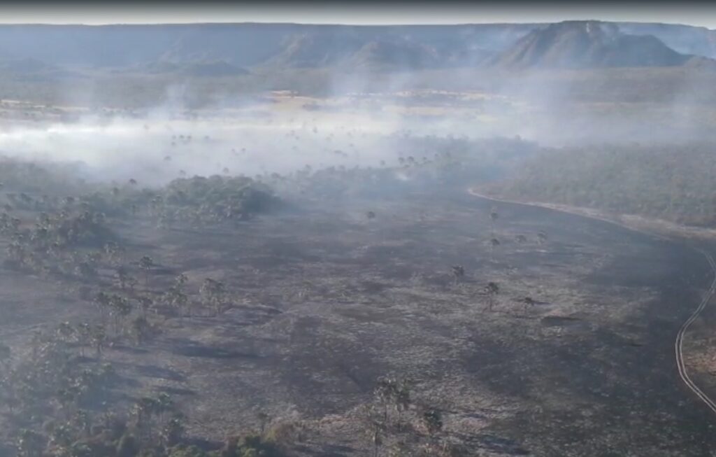Incêndio atinge 8 mil hectares na região de Terra Ronca e mobiliza força-tarefa em Goiás