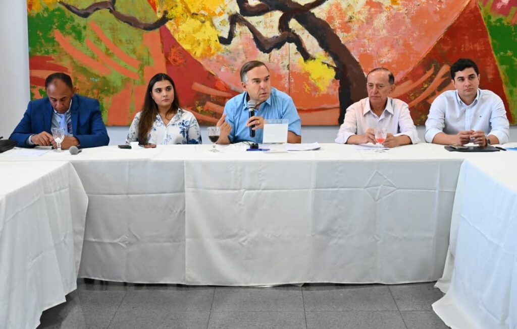 Mabel apresenta a vereadores proposta de fundo imobiliário para preservar patrimônio de Goiânia