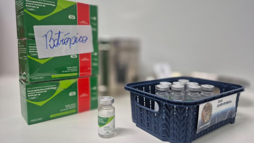 Dia Internacional de Atenção aos Acidentes Ofídicos: HDT orienta sobre prevenção e primeiros cuidados