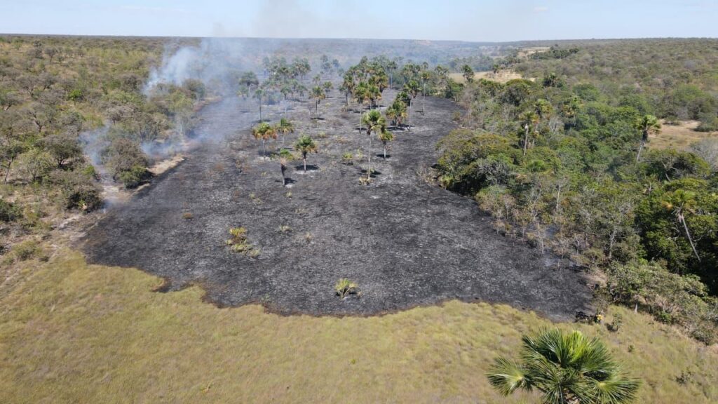 Área queimada por incêndios em Goiás cai 27% em 2026