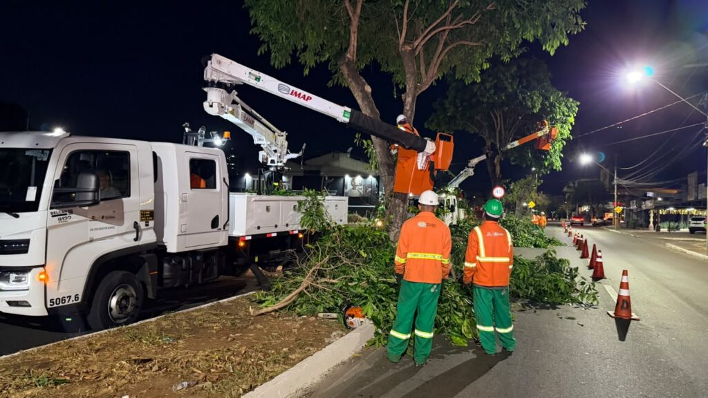 Poda de jamelões busca reduzir risco de derrapagens em avenidas de Goiânia