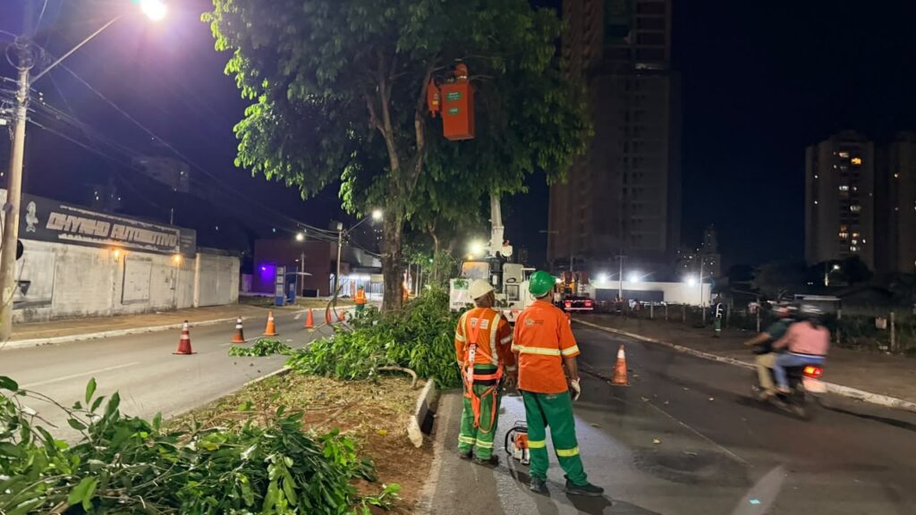 Comurg substitui jamelões e reforça arborização no Parque Amazônia