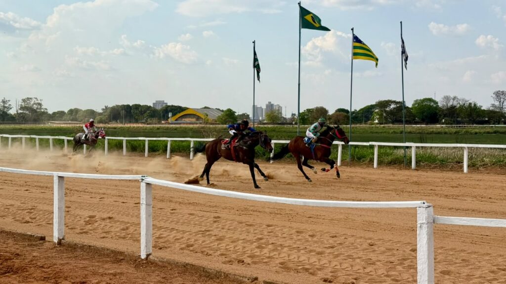 Jóquei Clube de Goiás retoma corridas no Hipódromo da Lagoinha