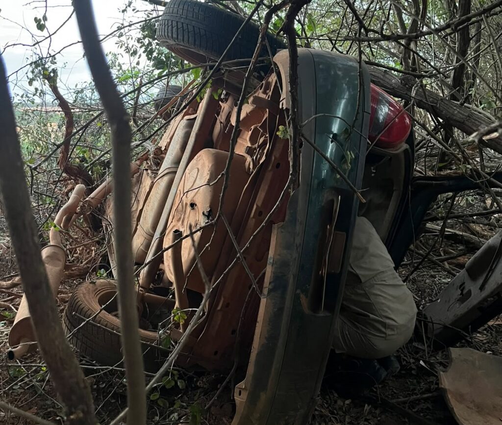 Capotamento na GO-330 deixa duas pessoas mortas