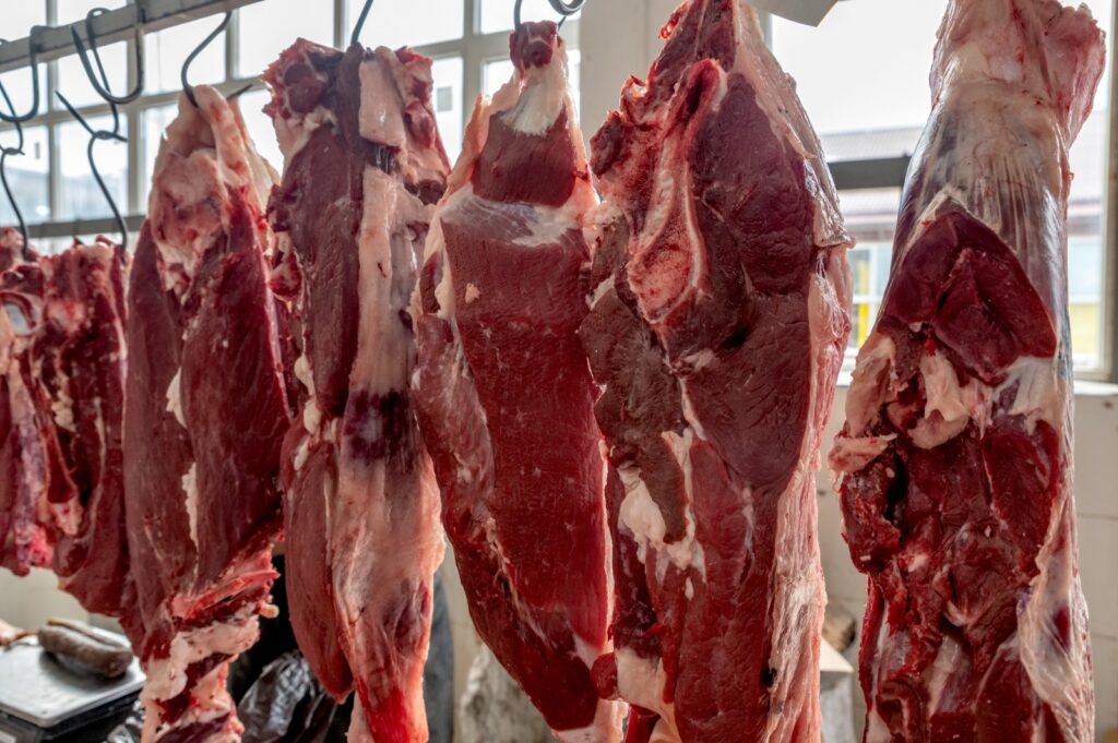 Goiás tem prejuízo de US$ 16,8 milhões por mês com suspensão de importações pela União Europeia