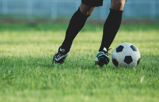 Palmeiras: Confira possíveis reformulações no elenco para este ano