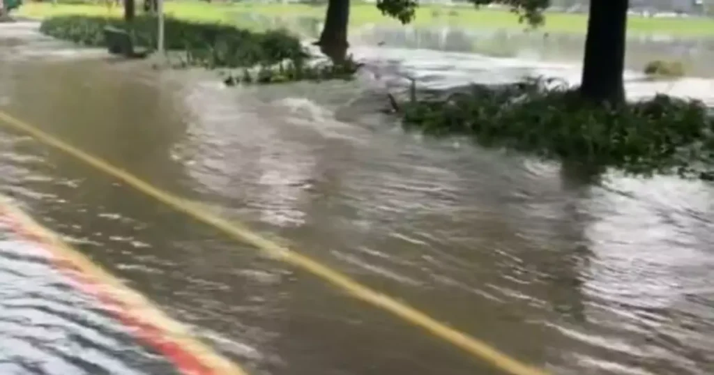 Lago do Parque Ibirapuera transborda após forte chuva em SP (foto: reprodução x)