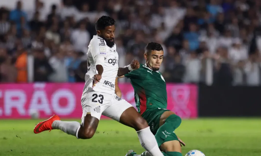Palmeiras fica no zero com o Santos e Flamengo agradece (foto: Thiago Bernardes)